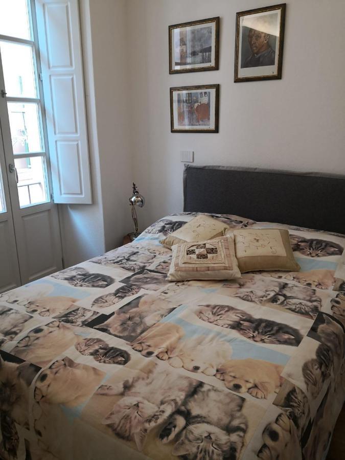 Casa Del Conte Massimiliano Roero Apartman Cuneo Kültér fotó